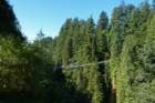 vancouvercapilanosuspensionbridgepark3_small.jpg