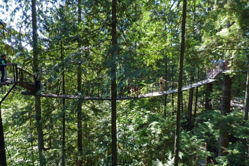vancouvercapilanosuspensionbridgepark4.jpg