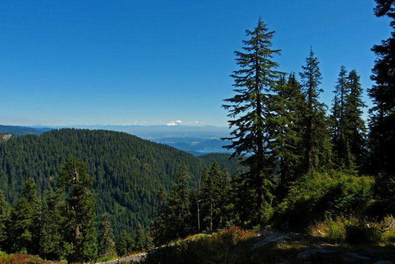 vancouvergrousemountain.jpg