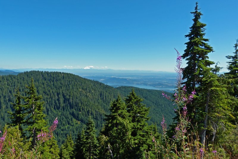 vancouvergrousemountain4.jpg