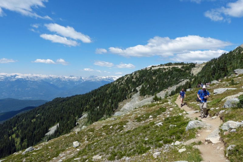 whistlerhighnotetrail7.jpg