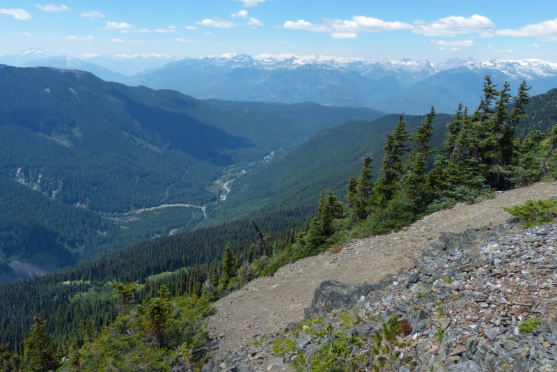 whistlerhighnotetrail8.jpg