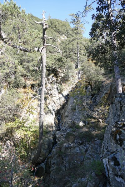 kaledoniatrail2.jpg