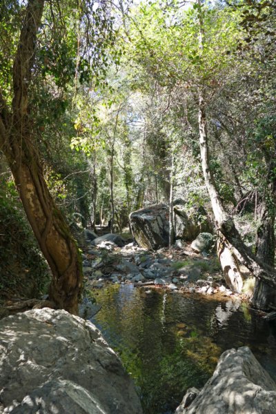 kaledoniatrail3.jpg
