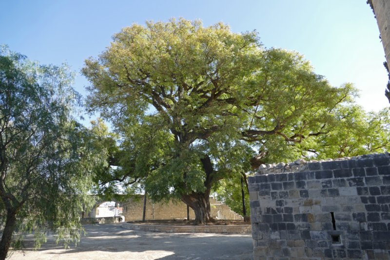kolossikasteel4.jpg