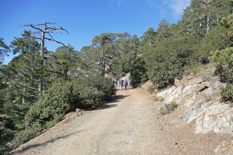 persephonetrail5.jpg