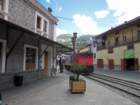 alausi4_small.jpg