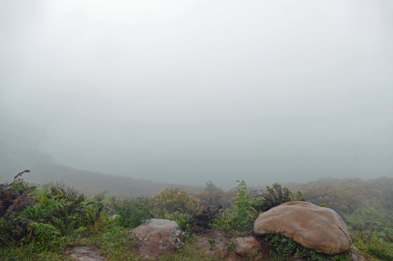 isladesancristoballagunaeljunco.jpg