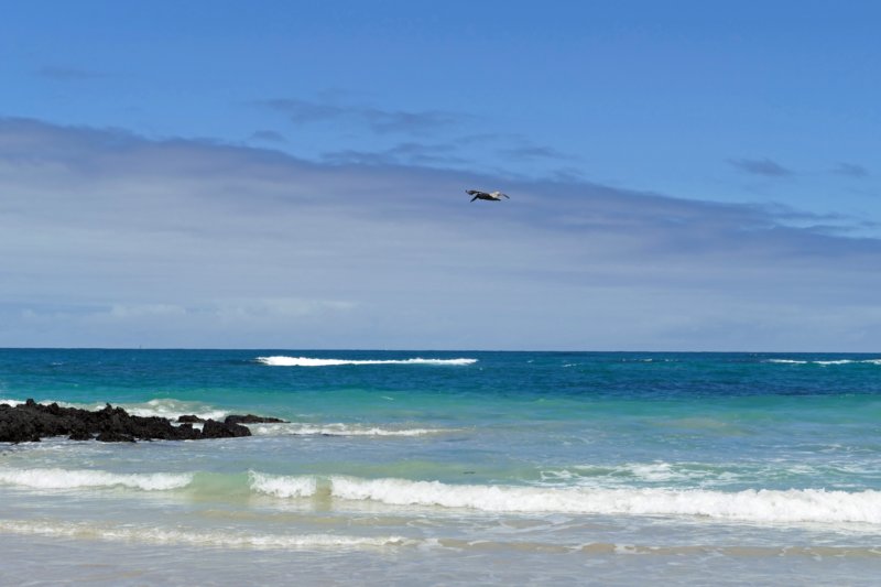 islaisabelastrand2.jpg