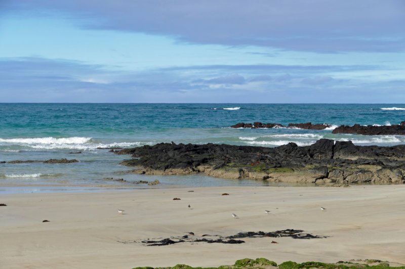 islaisabelastrand3.jpg