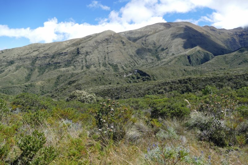 parquenacionalcotacachicayapas3.jpg
