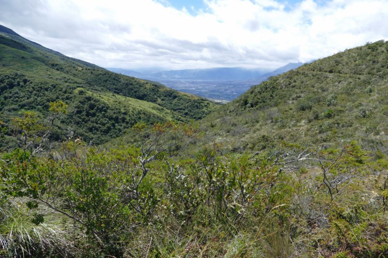 parquenacionalcotacachicayapas9.jpg