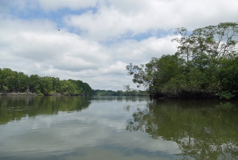 reserveecologicamanglarchurute11.jpg
