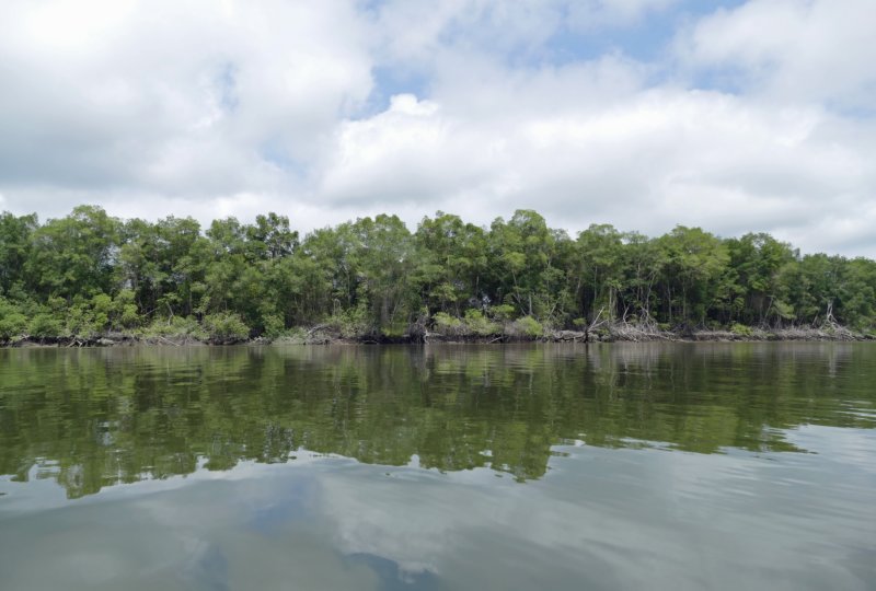 reserveecologicamanglarchurute12.jpg