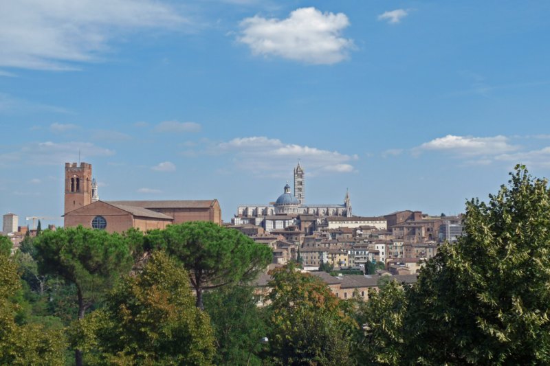 siena3.jpg
