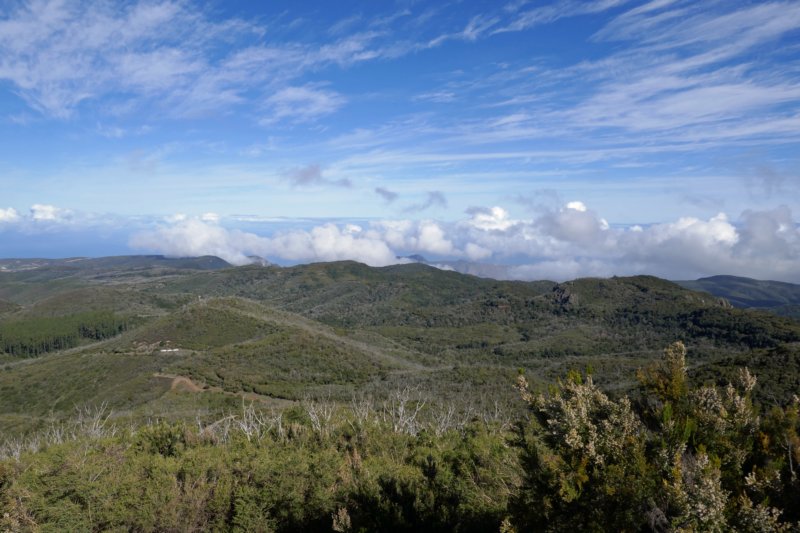 altodegarajonay3.jpg