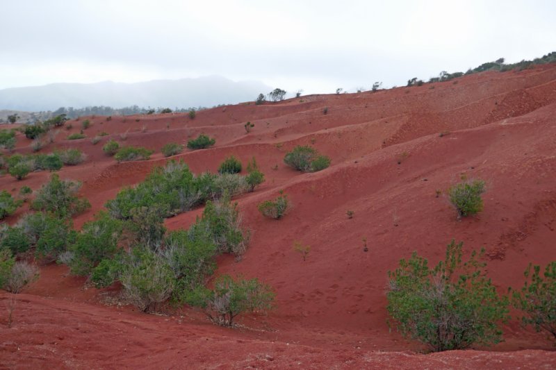 mars2.jpg