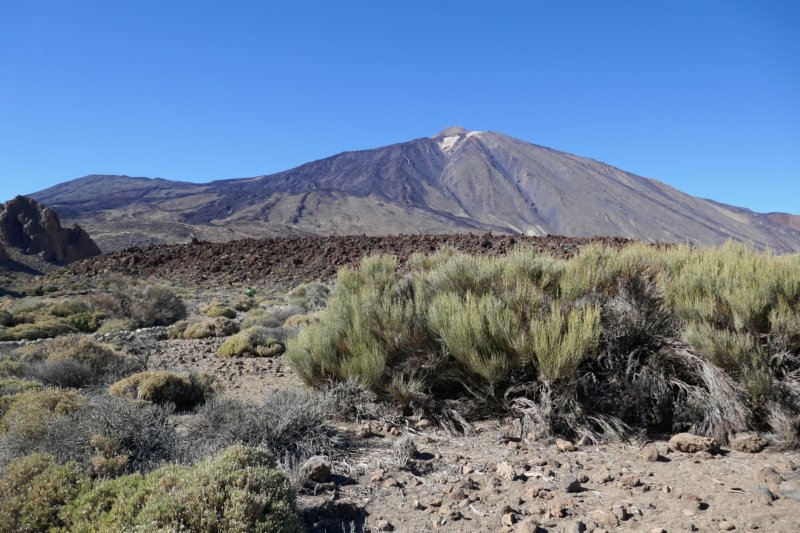picodelteide2.jpg