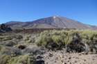 picodelteide2_small.jpg
