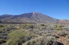 picodelteide3_small.jpg