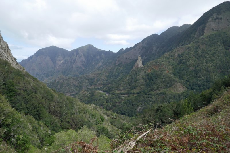 senderoelcedro.jpg