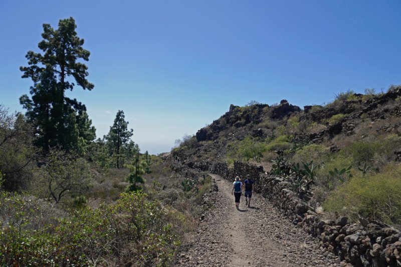 tenerife4.jpg