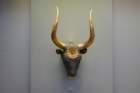 archeologischmuseum3_small.jpg