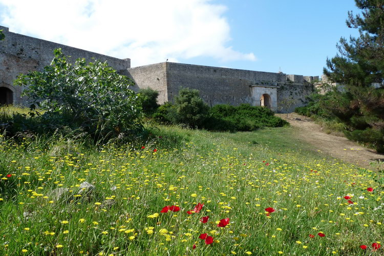 kasteelvanpylos6.jpg