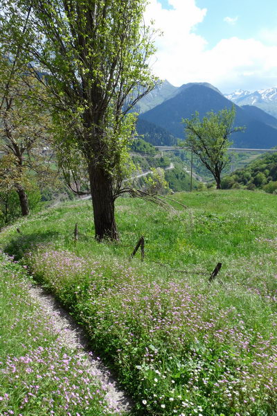metsovo3.jpg