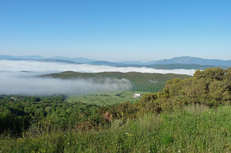 mist.jpg