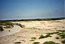 Duinen in Holland