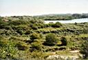 Omgeving Wassenaar