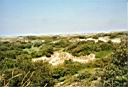 Duinlandschap