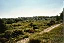 Zuid-Holland