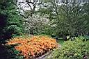 The Hague: Clingendael