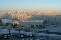 Stalkaarsen