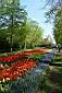 P1010579.JPG