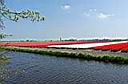 P1010689.JPG