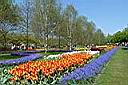 P1010736.JPG