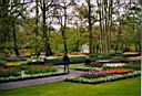 Keukenhof