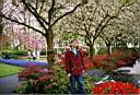 Gerard in Lisse