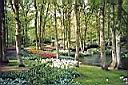 Keukenhof