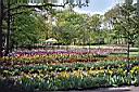 Bloemenbed
