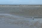 stranddecocksdorp4_small.jpg