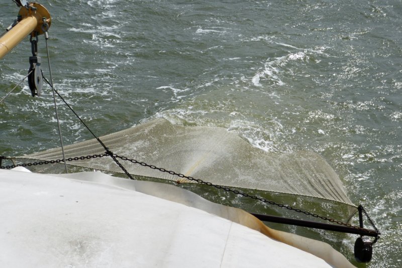 vissenopdewaddenzee.jpg