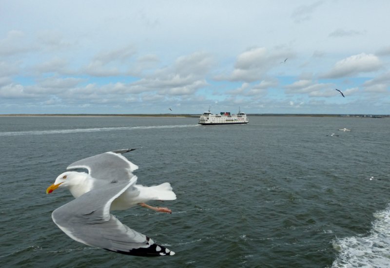 ferry.jpg
