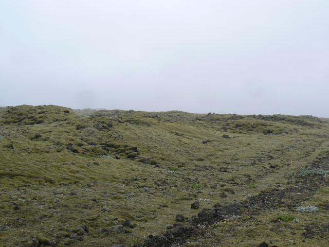 P1020841