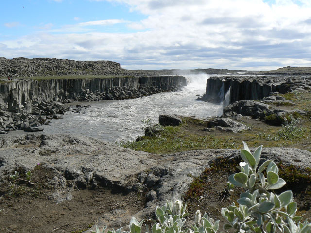 P1030247