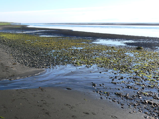P1030496