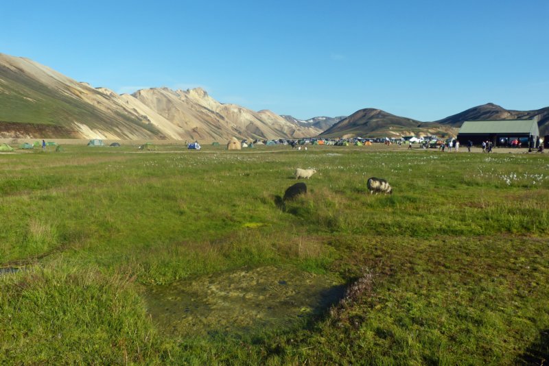landmannalaugarcampsite.jpg